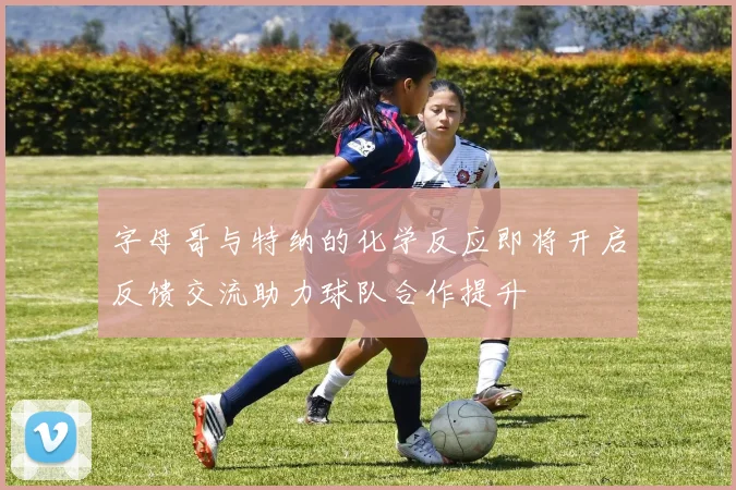 字母哥与特纳的化学反应即将开启反馈交流助力球队合作提升