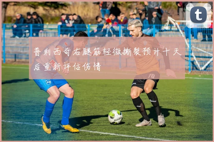 普利西奇右腿筋轻微撕裂预计十天后重新评估伤情