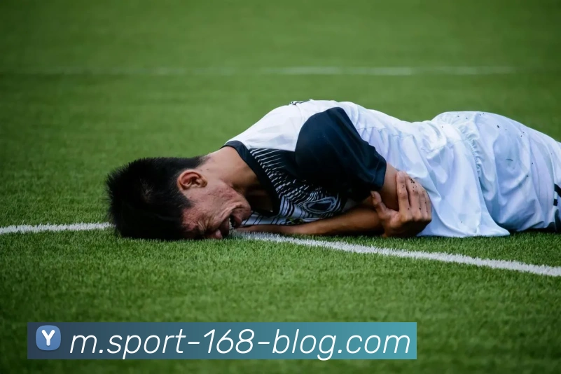 多媒体互动体验